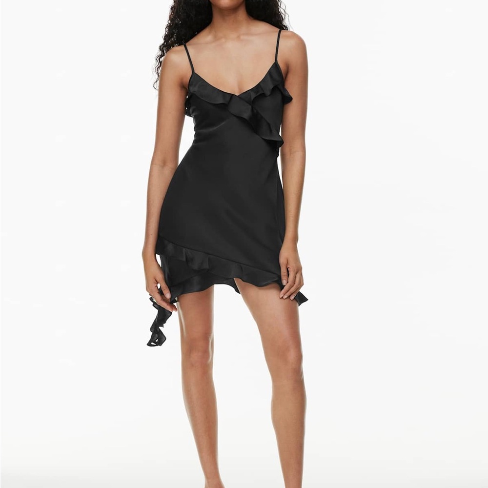 Aritzia Wilfred Botanical Satin Dress